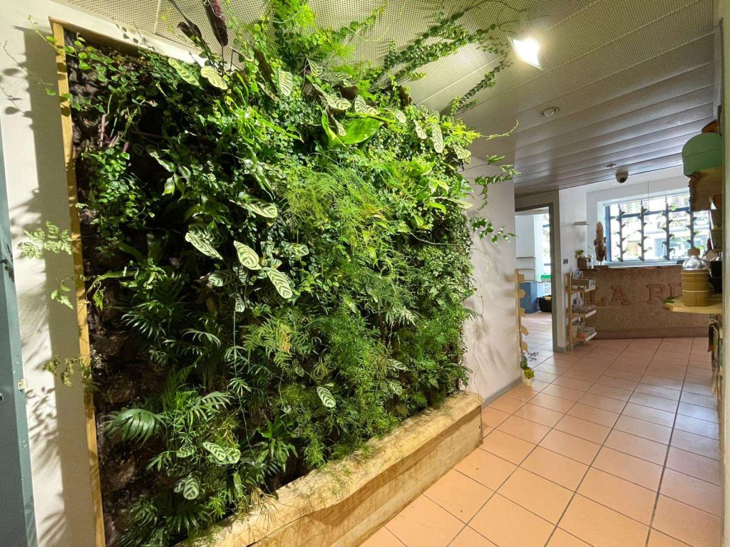 Vente Locaux Professionnels Avignons (84000)