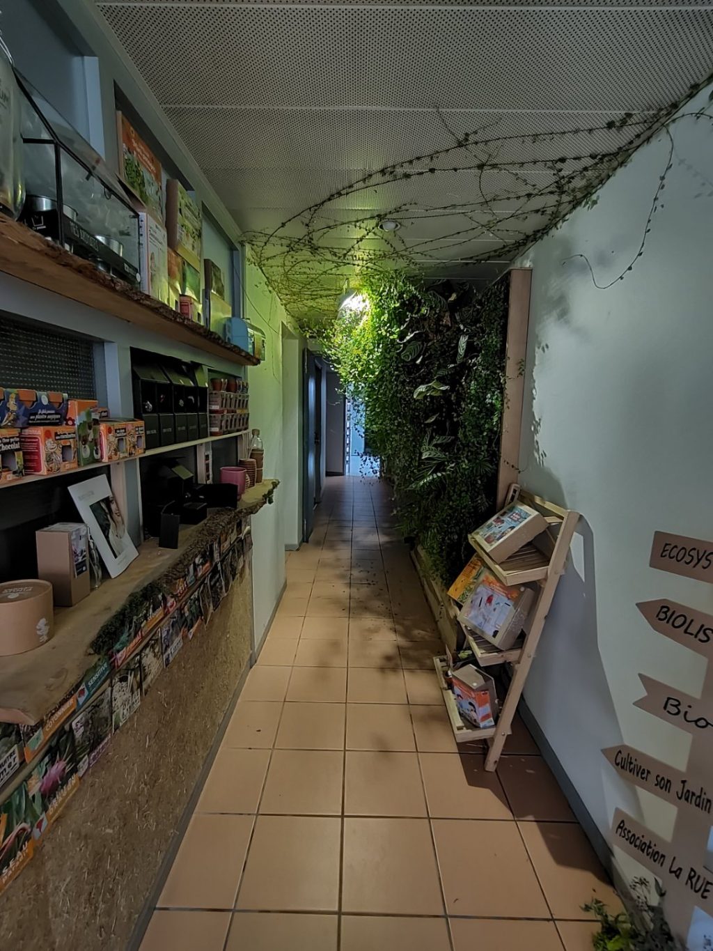 Vente Locaux Professionnels Avignons (84000)