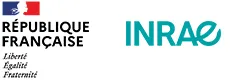 Vente Locaux Professionnels Avignons (84000)